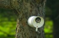 Bird Bottle, una casa de pájaros moderna