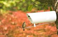 Bird Bottle, una casa de pájaros moderna